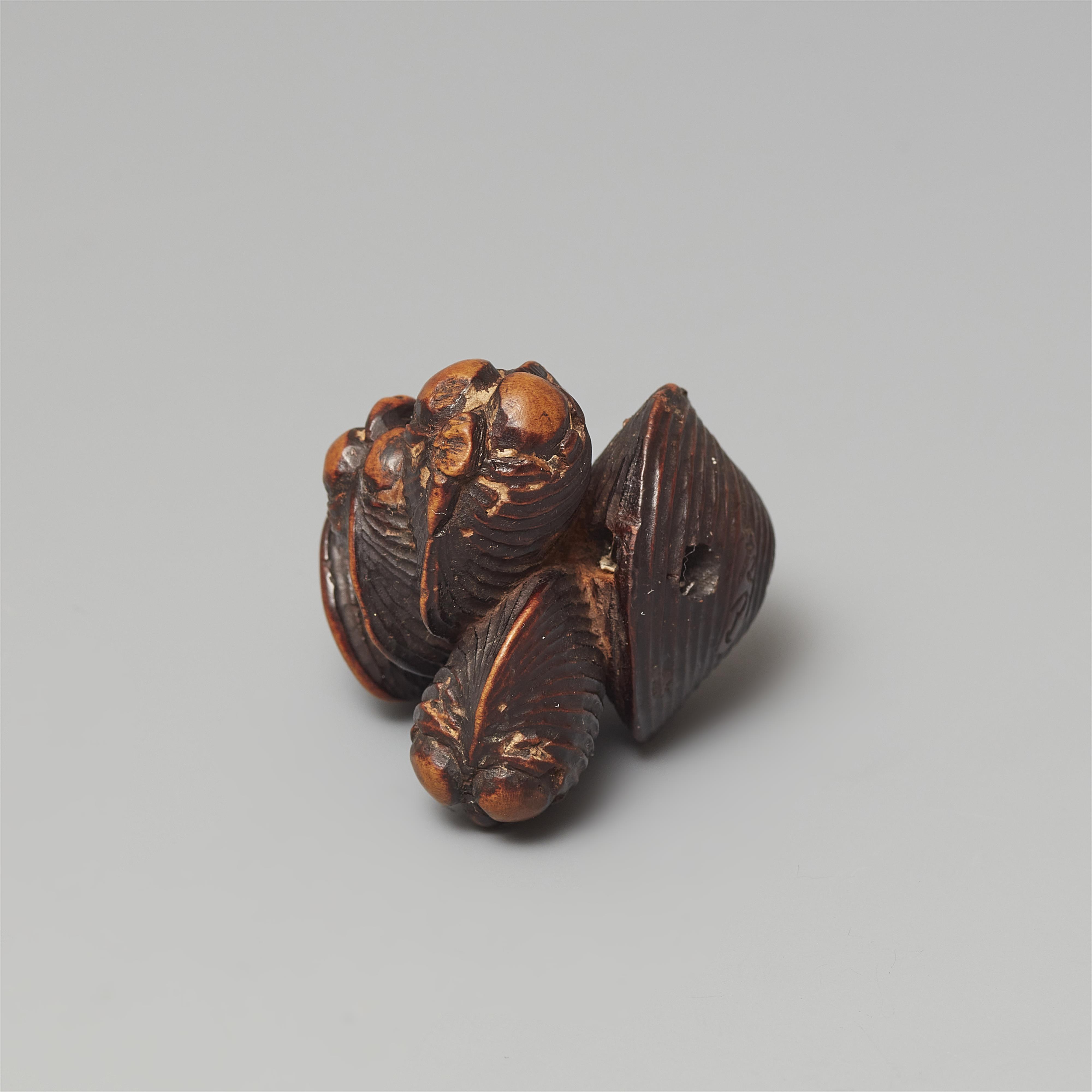 A boxwood netsuke of a group of shells by Sari. Early 19th century - image-4