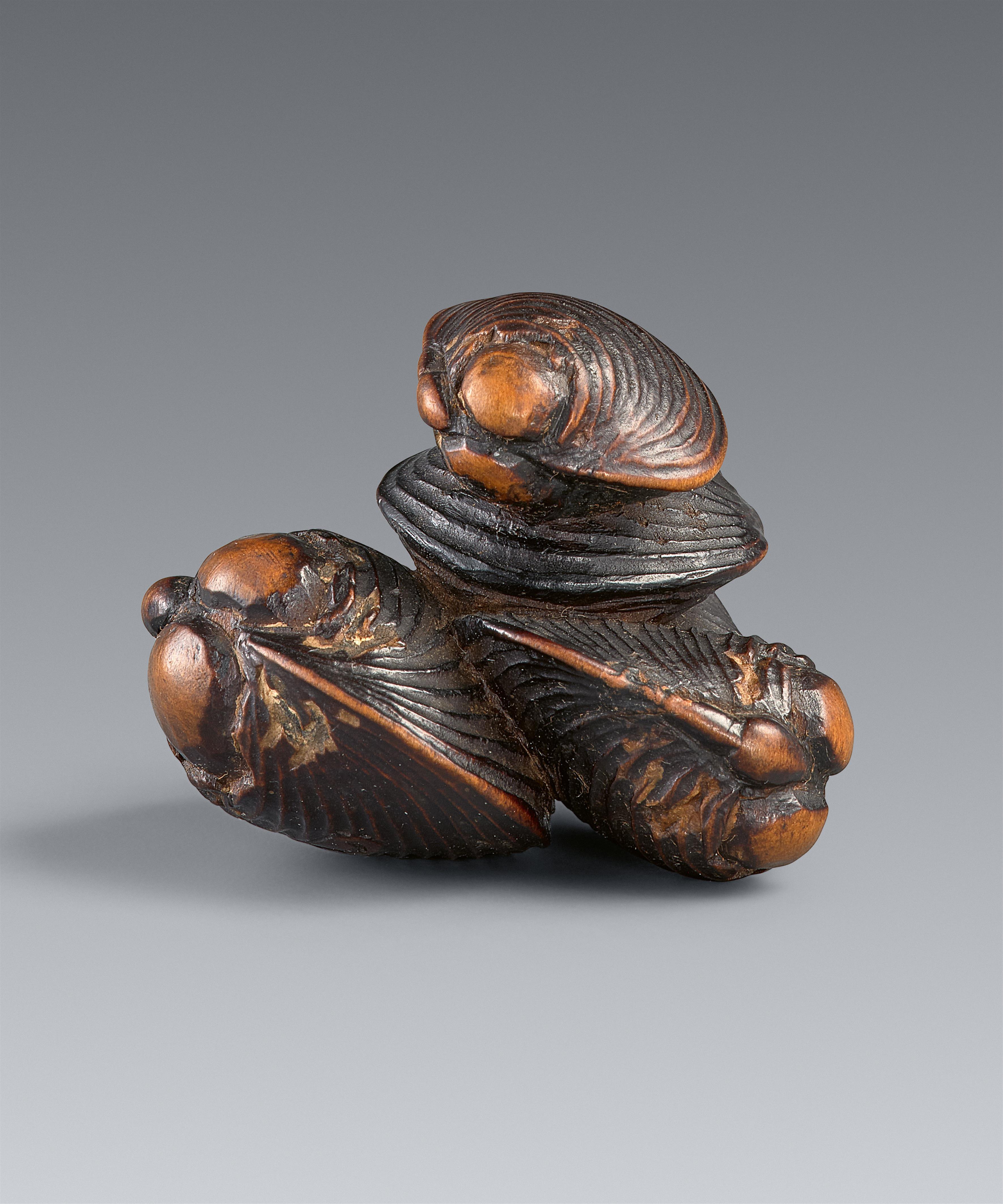 A boxwood netsuke of a group of shells by Sari. Early 19th century - image-1