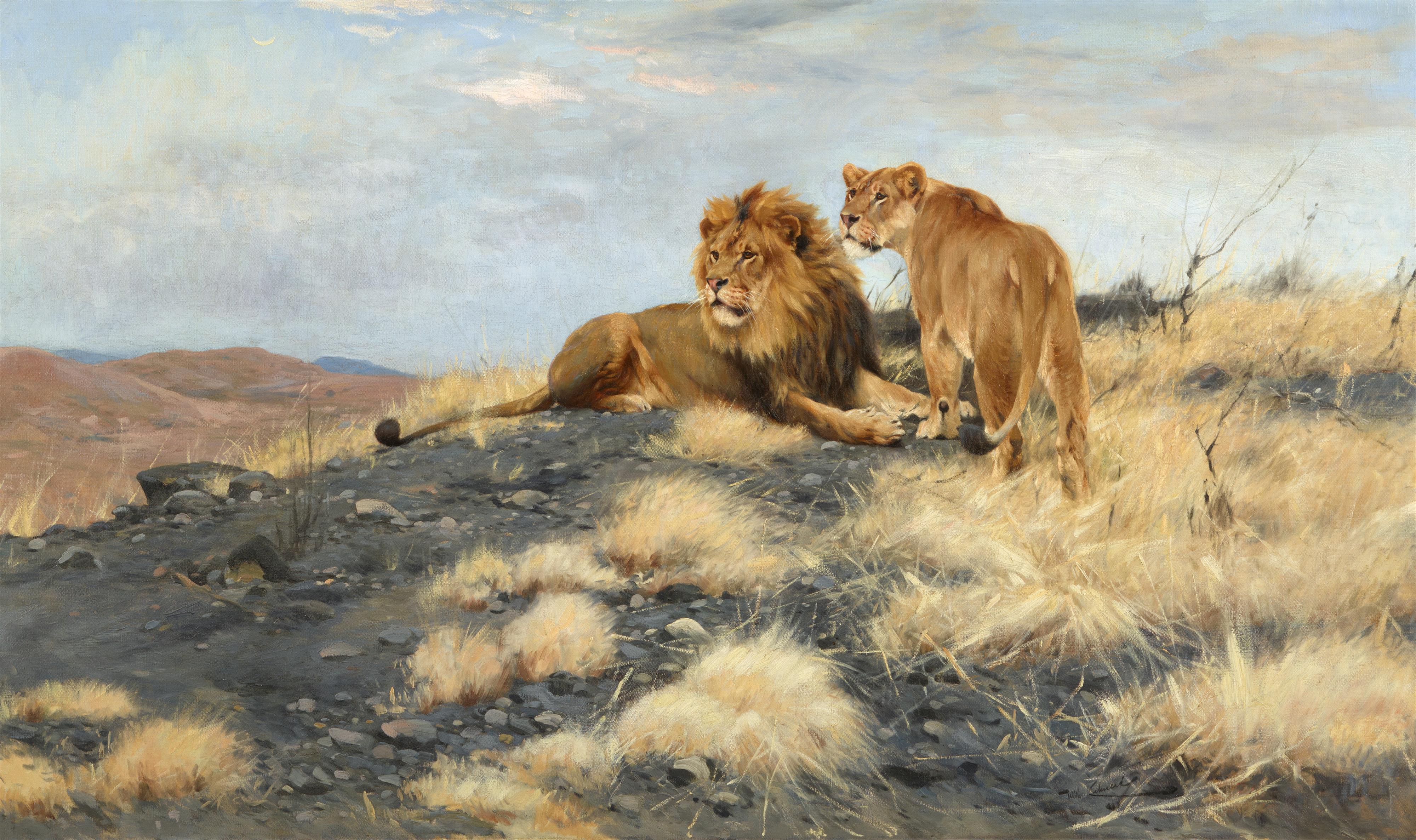 Wilhelm Kuhnert - Lion and Lioness observing their Surroundings from a Hill - image-1