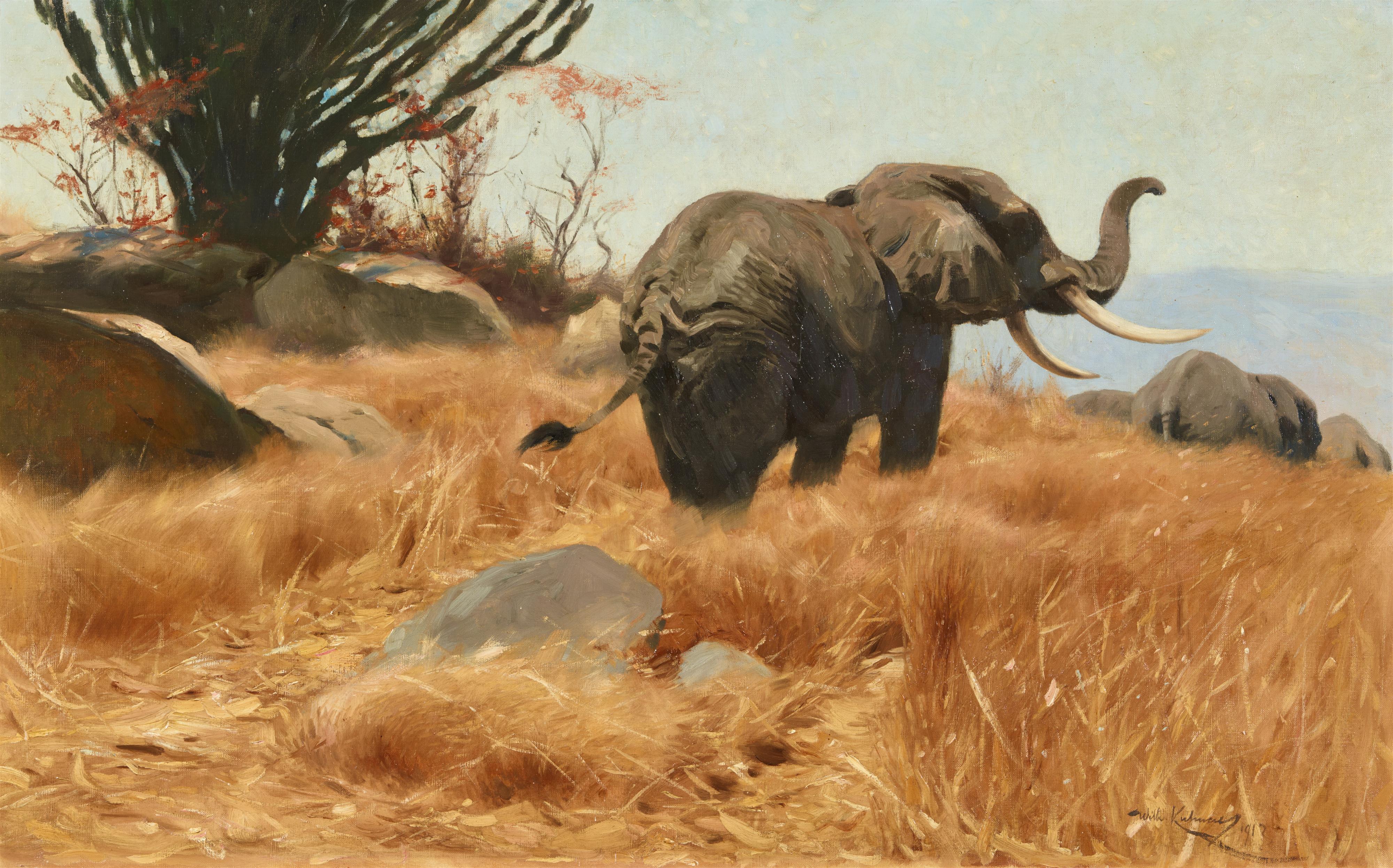 Wilhelm Kuhnert - Elephant in the Savannah - image-1