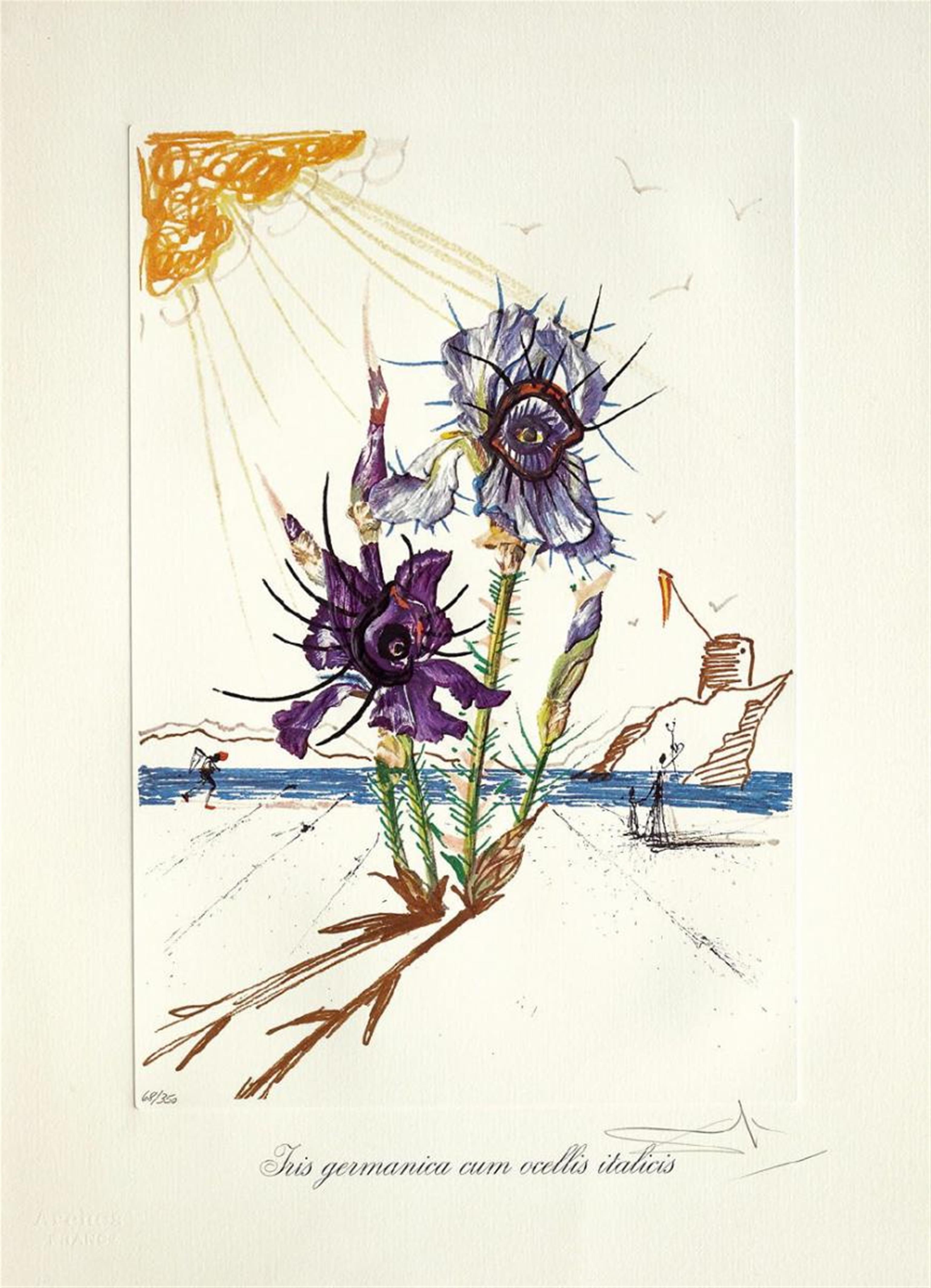 SALVADOR DALÍ Y DOMENECH - Surrealistic Flowers - image-1