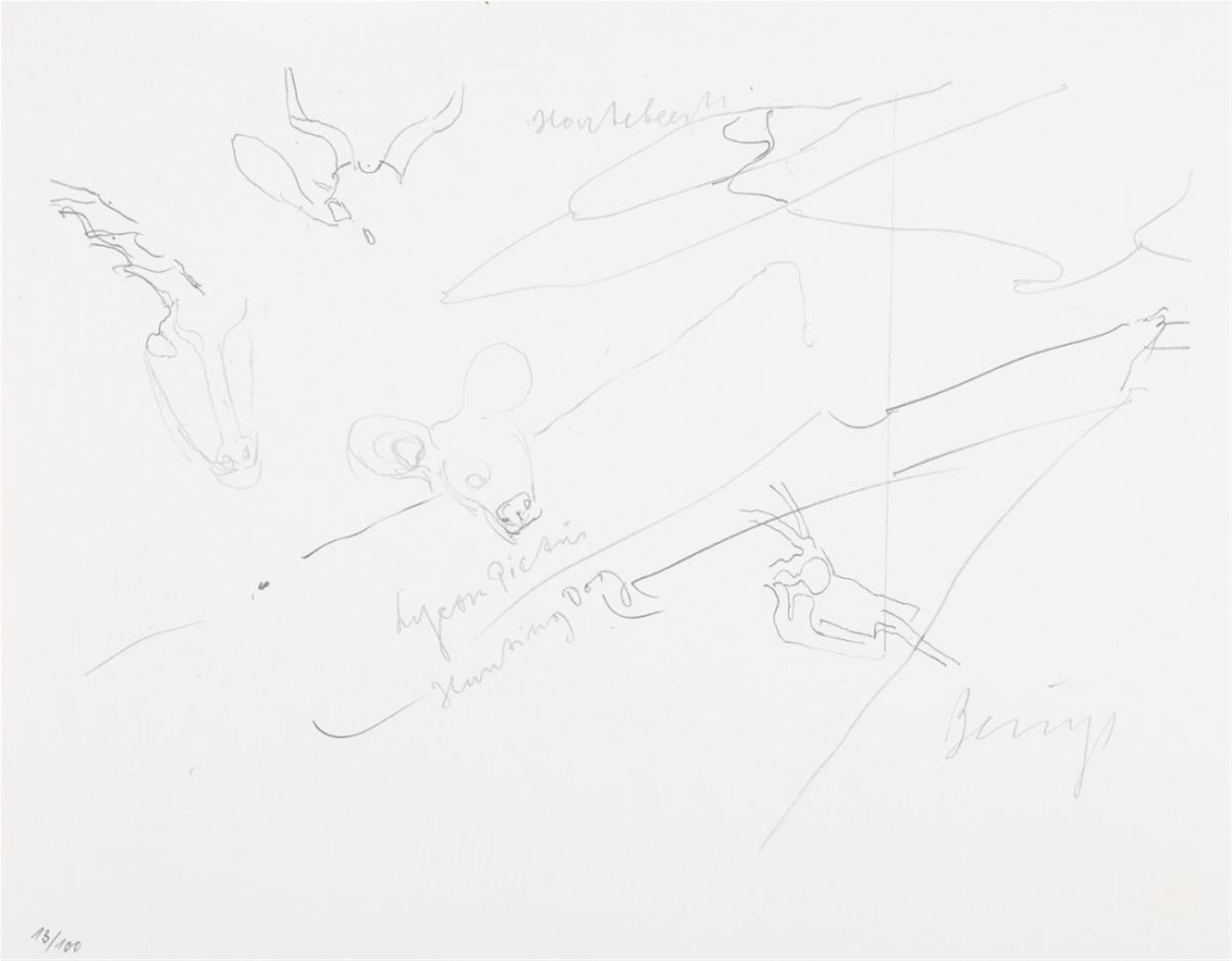 Joseph Beuys - Zeichnungen zu Leonardo Codices Madrid - image-1