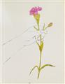 Andy Warhol - Hand with Flowers. Hand with Carnation - image-1