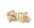 A pair of erotic carved ivory dice - image-1
