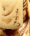 An Asakusa-school ivory netsuke of a cat in a kimono, by Masayuki. Mid-19th century - image-3