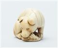 An ivory netsuke of a peabald dog. Late 18th/early 19th century - image-4