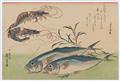 Utagawa Hiroshige - Ôban yoko-e. Series: „Uo-zukushi". Utagawa Hiroshige (1797-1858) - image-1