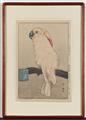 Yoshida Hiroshi - Hiroshi Yoshida (1876-1950) Serie: Dôbutsuen. Ein Papagei mit lachsfarbenem Kamm auf einer Holzstange. - image-2
