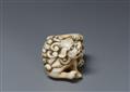 An ivory netsuke of a shishi scratchig itself. Early 19th century - image-4