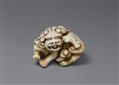 An ivory netsuke of a shishi scratchig itself. Early 19th century - image-1