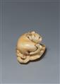 A marine ivory netsuke of a cat on a stiff fan. Around 1800 - image-5