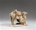 A figure of a Bactrian camel. Tang dynasty (618-907) - image-2