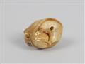 Netsuke zweier Ratten. Elfenbein. Spätes 19. Jh. - image-7