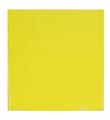 Joseph Marioni - Yellow - image-1