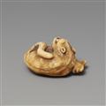 Netsuke eines liegenden Tigers. Elfenbein. Frühes 19. Jh. - image-3