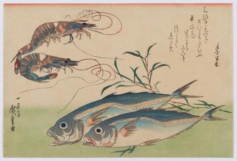 Utagawa Hiroshige - Ôban yoko-e. Series: „Uo-zukushi". Utagawa Hiroshige (1797-1858)
