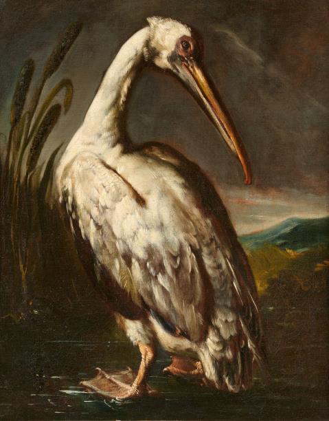 Bartolomeo Bimbi - Ein Pelikan in einer Landschaft