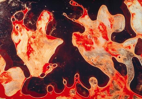 Andres Serrano - Semen & Blood I (from the series: Bodily fluids)